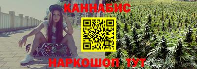 сатива Краснознаменск