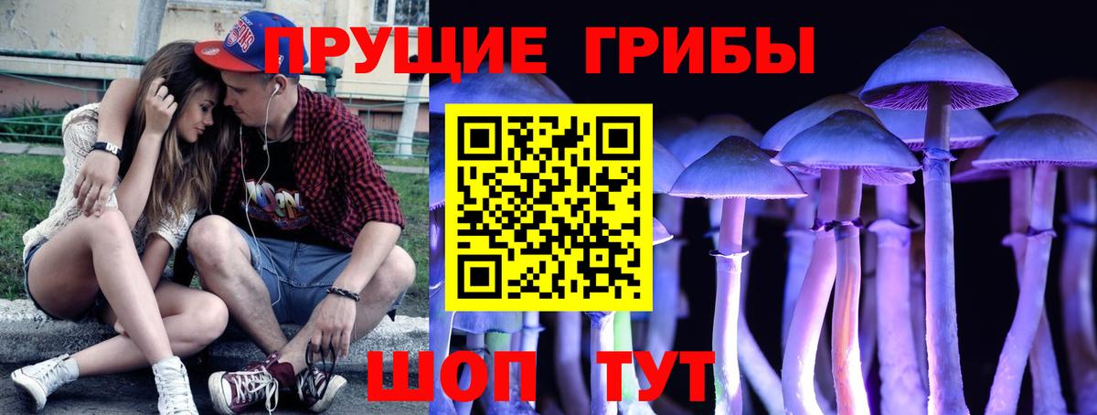 Галлюциногенные грибы мицелий Кашира