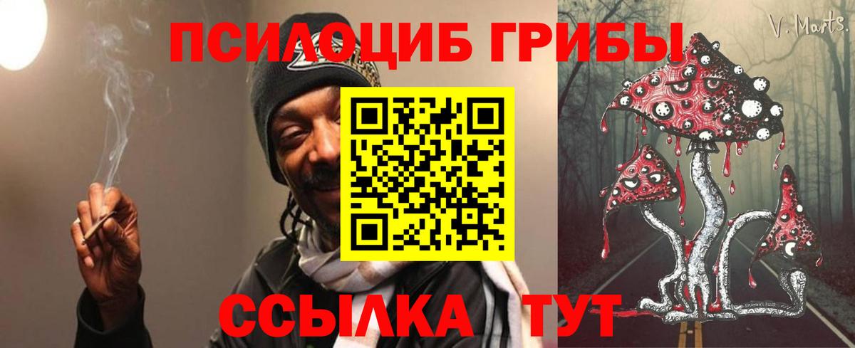 Кашира  Псилоцибиновые грибы Cubensis  Вход с VPN 